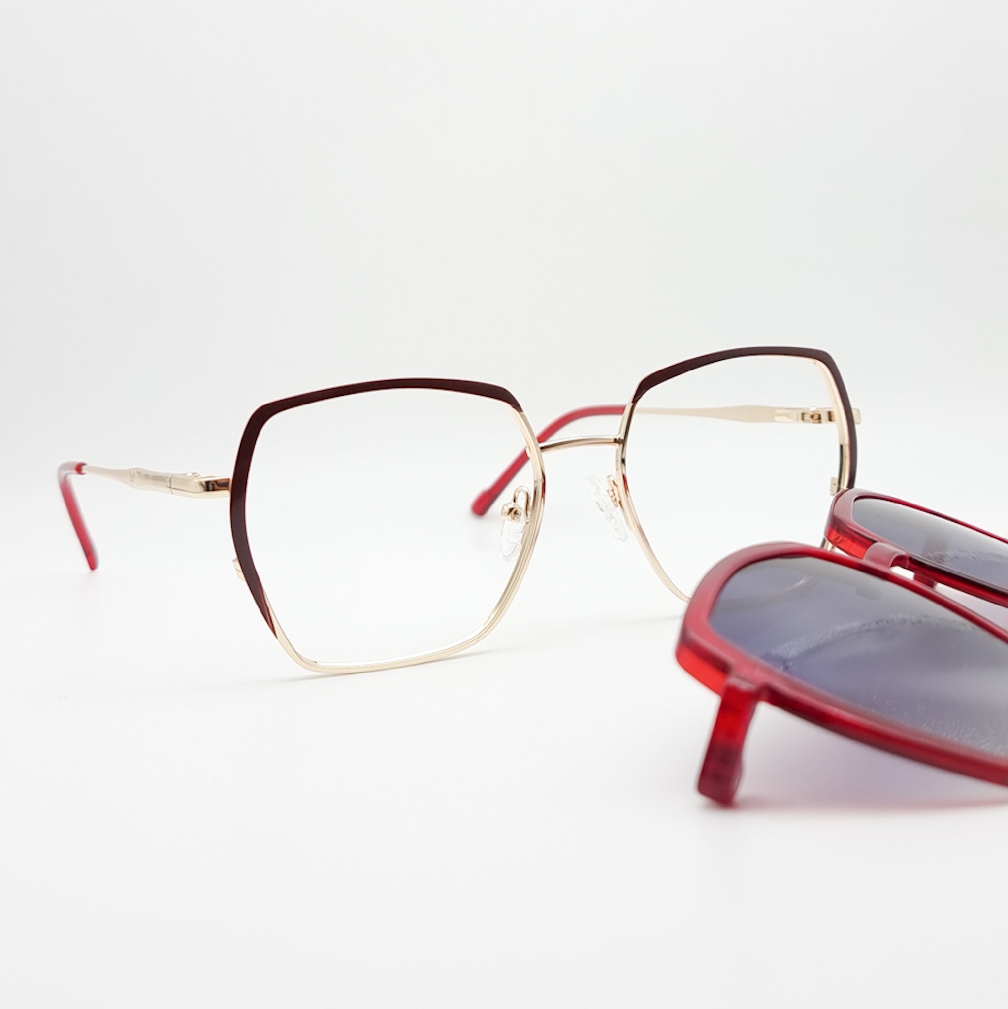 CLIPS (2EN1) FEMME F20